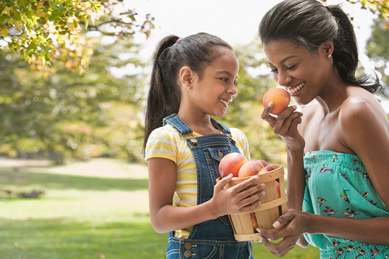 mom and daughter picking and smelling fresh peaches mom and daughter picking and smelling fresh peaches