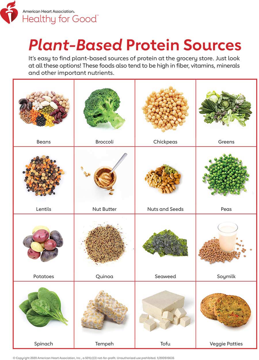 Sources of plant-based protein